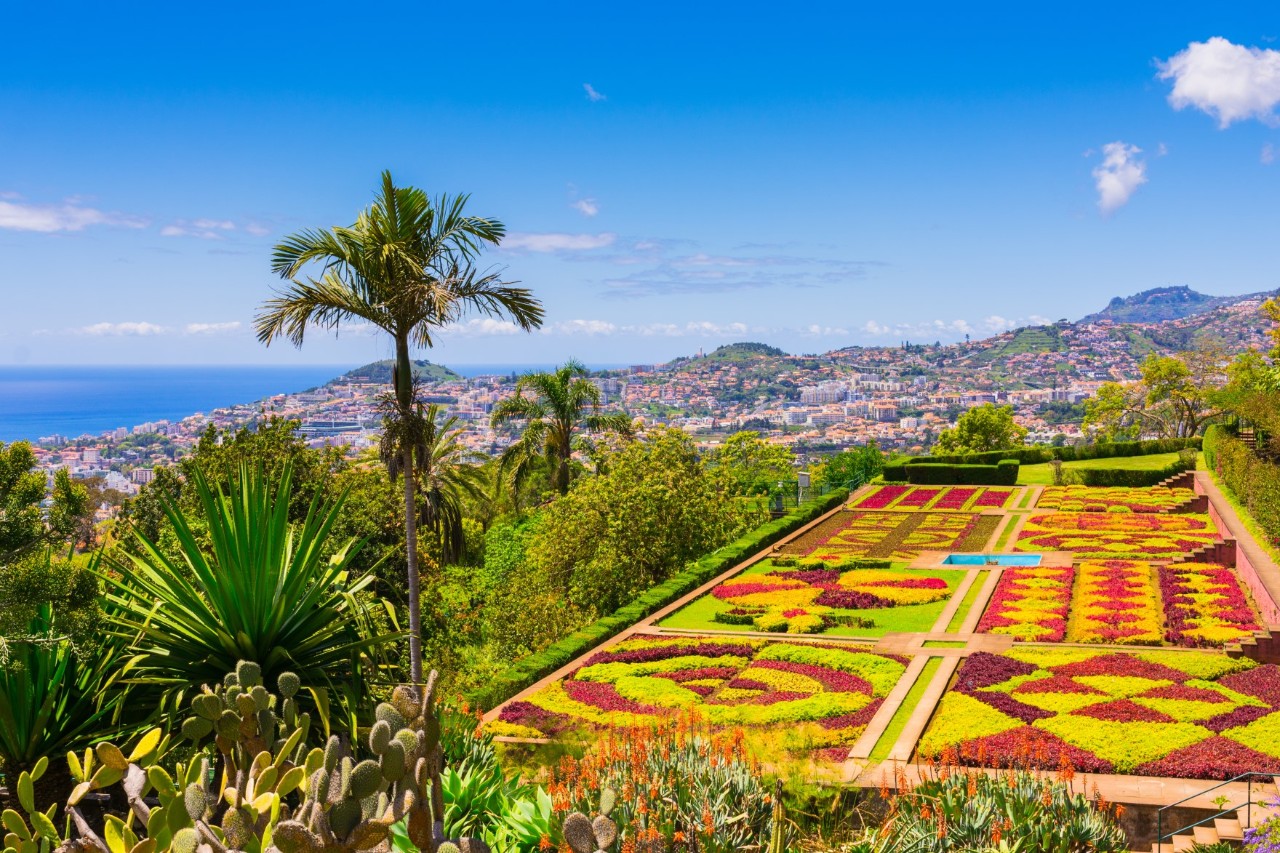 View of a green park with flower beds and palm trees, city and sea in the background © boivinnicolas/stock.adode.com