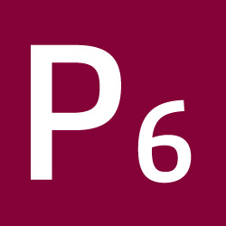 Pikto P6