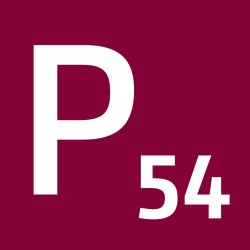 Pikto P54