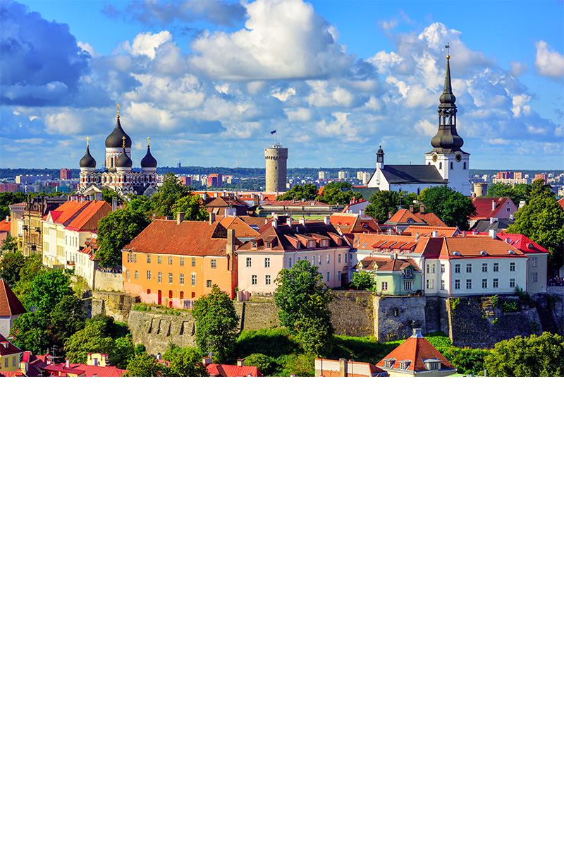 Sliuette der Altstadt. Im Vordergrund 2 Kirchen und 1 Burgturm