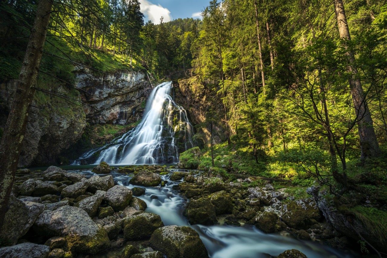 Grüner Wald in den Bergen. Im Zentrum des Bildes sieht man einen Wasserfall.