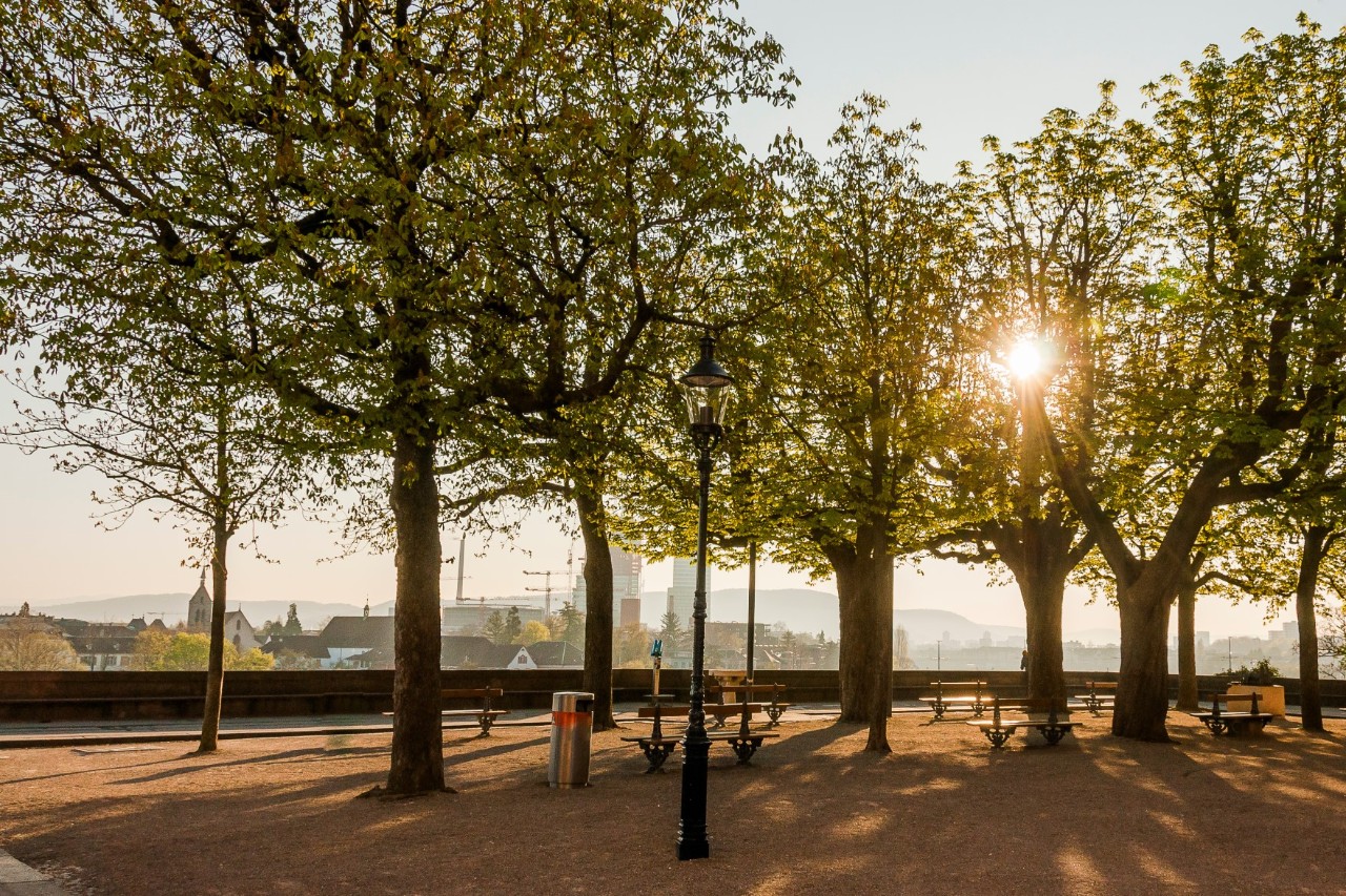 Menschenleere Terrasse mit Bäumen und Bänken zum Ausruhen, dahinter Häuserdächer und Kirchtürme