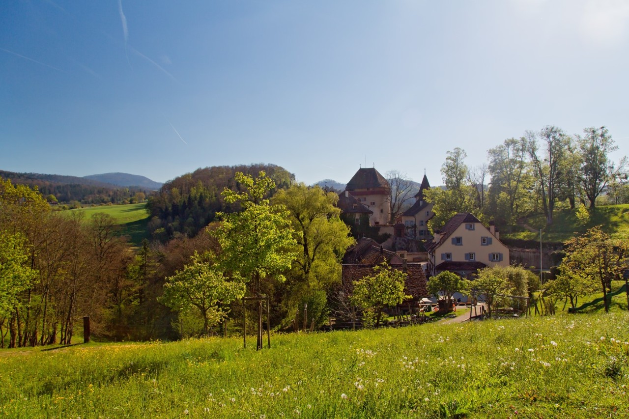 Das Schloss Wildenstein umgeben von grünen Wiesen und Wäldern im Frühling 