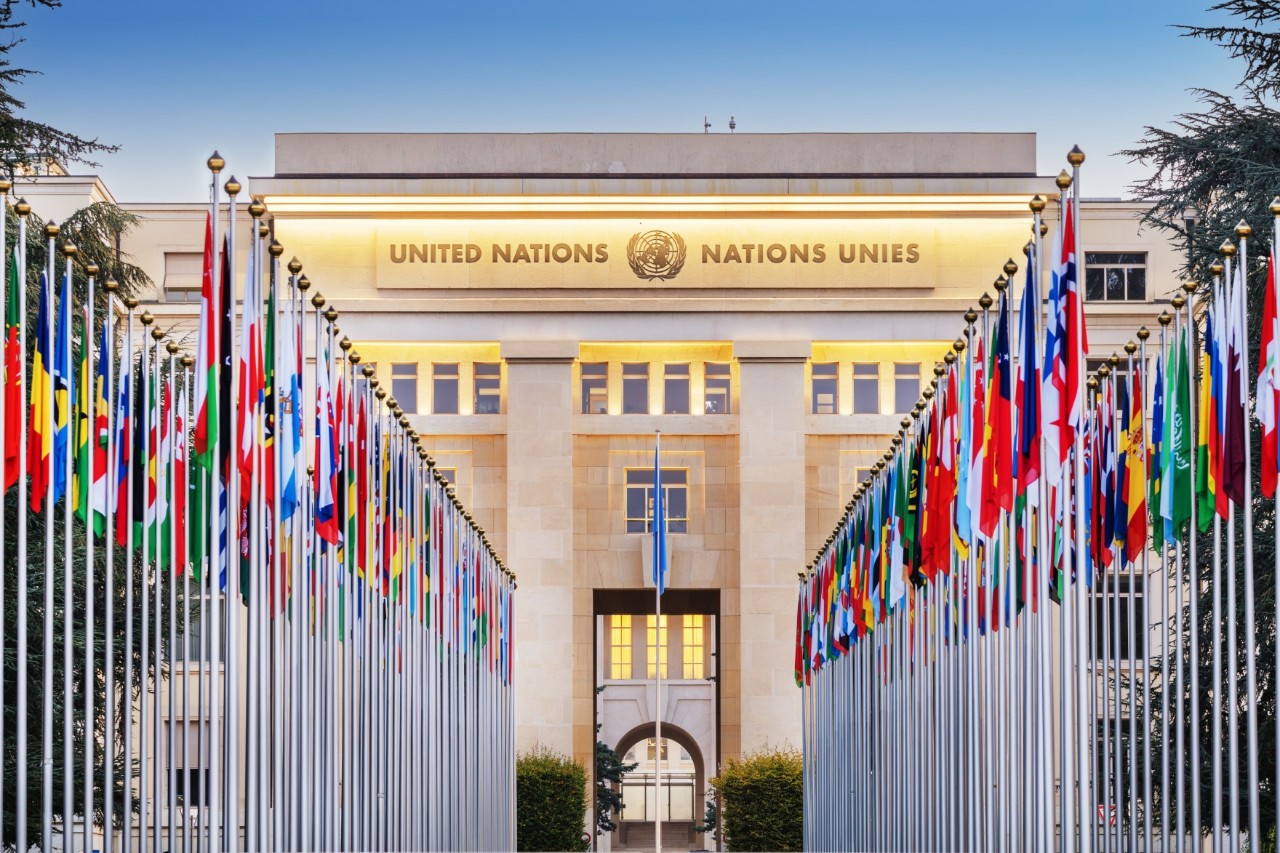 Bild eines beigen, dezent angeleuchteten Gebäudes mit der Aufschrift „United Nations – Nations Unies“. Vor dem Haus stehen eng aufgereiht viele Fahnenmasten mit bunten Staatsfahnen.