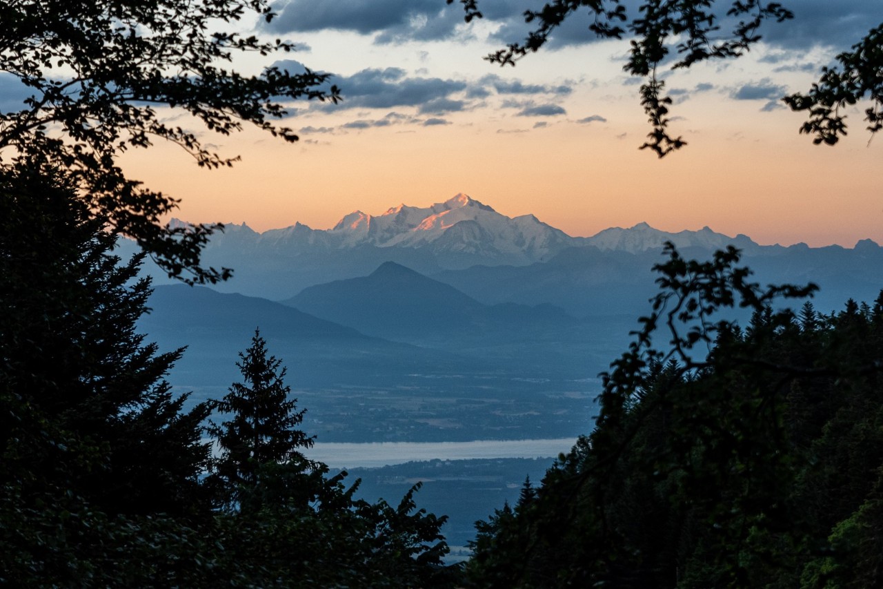 Blick aus einem Wald über die Silhouetten der Baumwipfel hinweg auf einen See und die schneebedeckten Berge eines Hochgebirges bei Sonnenaufgang.