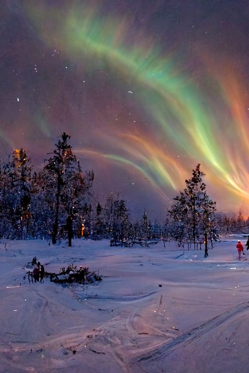 Polarlichter in Lappland © Kyri/stock.adobe.com