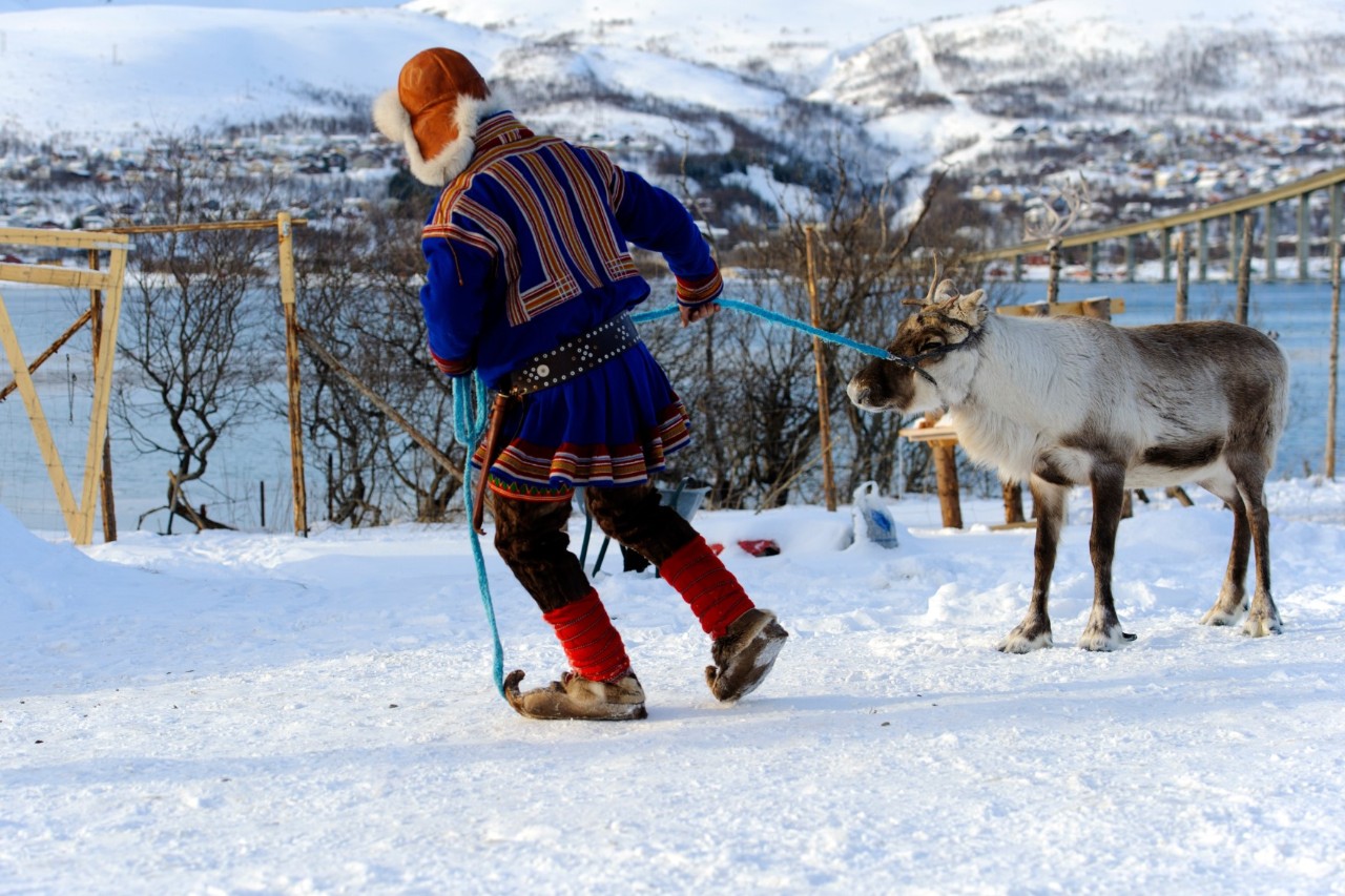 Eine Person in traditioneller rotblauer Kleidung, die ein Rentier an einem blauen Seil durch eine verschneite Winterlandschaft führt.