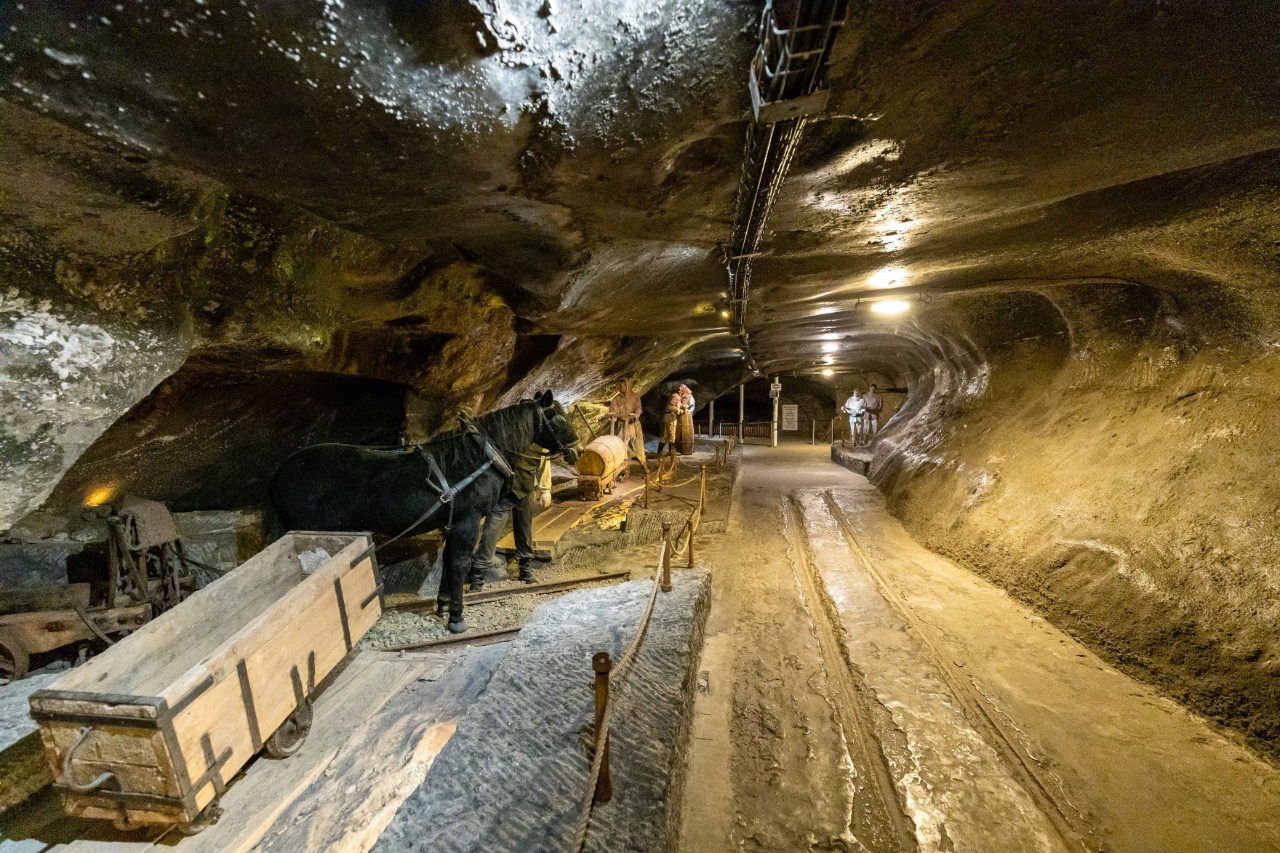 Unterirdischer Stollen in einem historischen Salzbergwerk, auf der linken Seite sind lebensgroße menschliche Figuren sowie ein Pferd mit einem Lastenwagen zu sehen 