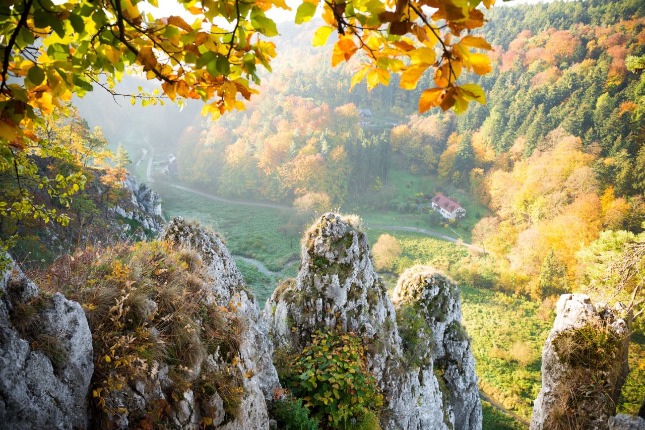 Bild des Ojców-Nationalparks, im Vordergrund ist eine Felsformation zu sehen, im darunterliegenden Tal eine grüne Wiese, Wald und ein Haus 