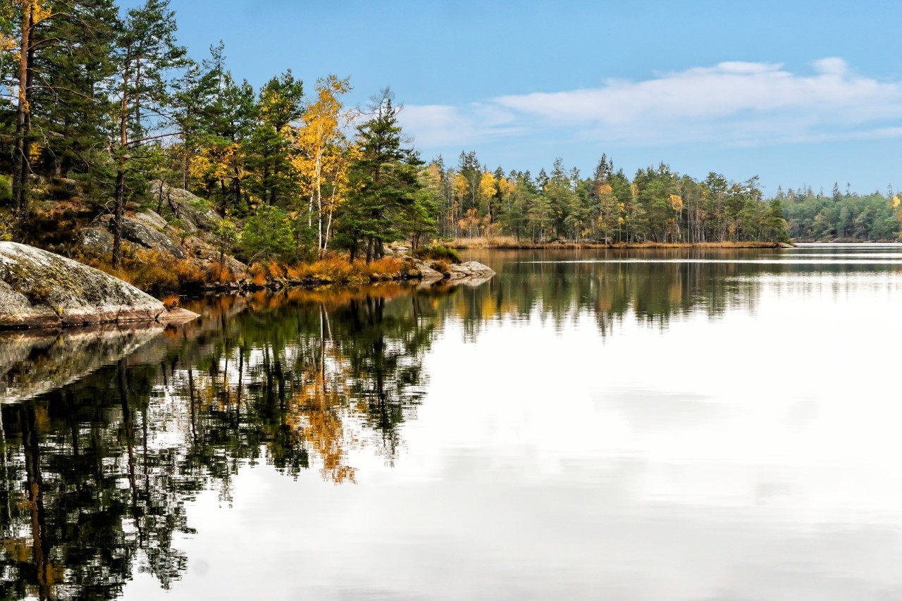 Nationalpark Tyresta 
