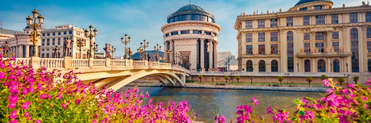 Das Bild zeigt eine über den Fluss verlaufende Brücke mit Straßenlaternen. Im Vordergrund sind pinke Blumen zu sehen. Auf der anderen Flussseite stehen drei markante beige Gebäude.