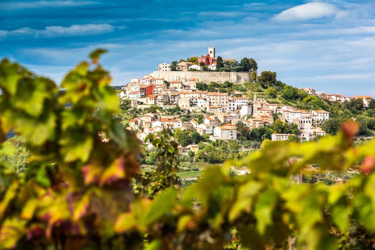 Das Bild zeigt eine malerische Hügelstadt mit dicht gedrängten, hellen Häusern, grüner Vegetation und einer Kirche an der Spitze. Im Vordergrund sind unscharfe Weinreben sichtbar.