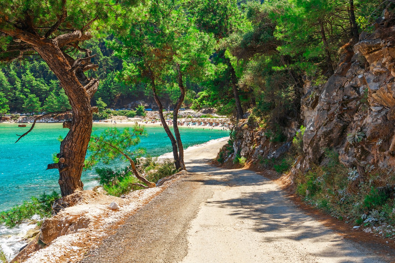 Küstenweg auf Thassos mit Pinienbäumen, der entlang einer felsigen Küste zu einer kleinen Sandbucht mit türkisfarbenem Meer führt. Sonnenlicht fällt durch die Bäume und beleuchtet den schmalen Pfad am Wasser.