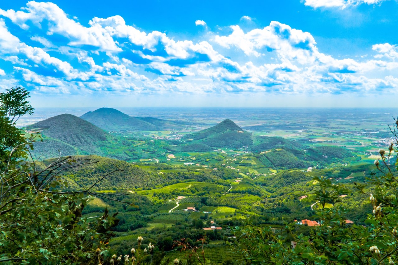 Blick von einem Berg auf grüne, bewaldete Hügel. Im Hintergrund sind Felder zu erkennen, am Himmel ziehen aufgelockerte Wolken auf.