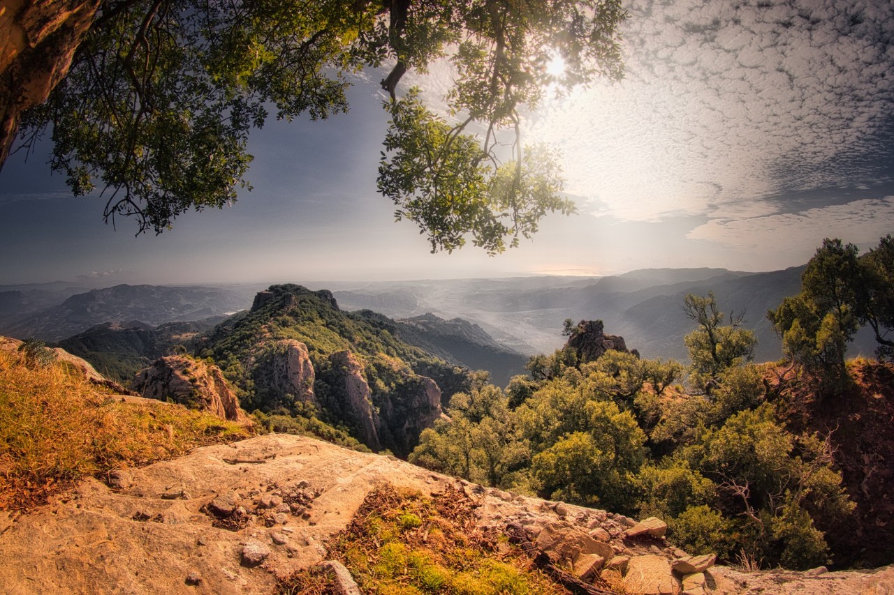 Das Bild zeigt eine Berglandschaft mit üppigem Grün und einem weiten Tal im Hintergrund. Im Vordergrund befindet sich ein felsiger Aussichtspunkt unter einem Baum. 