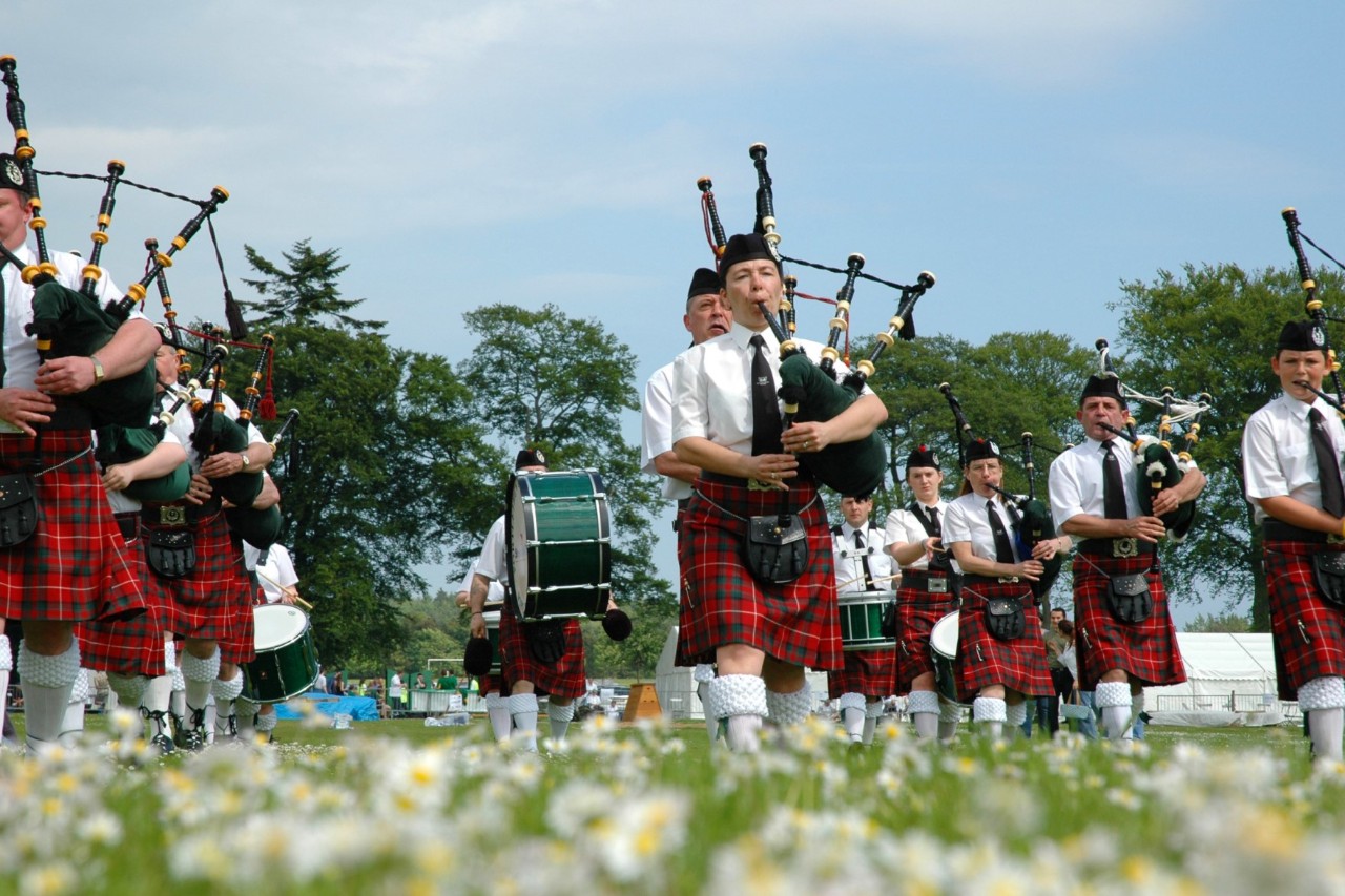 Das Bild zeigt eine Gruppe von Dudelsackspielern in traditioneller schottischer Kleidung. Sie tragen rot karierte Kilts, weiße Hemden, schwarze Hüte und weiße Socken mit breiter Krempe. Einige Männer spielen Dudelsäcke, während andere Trommeln spielen. Im Hintergrund sind Bäume sehen. Im Vordergrund in der Unschärfe befindet sich eine Wiese mit Gänseblümchen.