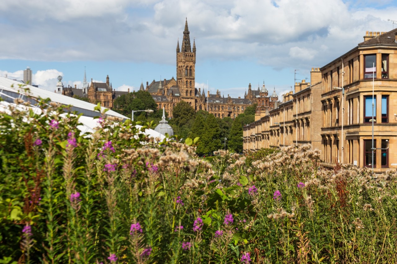 Blick über hohe Pflanzen auf einen Stadtausschnitt mit historischen Gebäuden. Im Hintergrund ist ein Teil der neogotischen Glasgow University mit hohem Turm zu sehen. Rechts im Bild befinden sich mehrgeschossige Wohnhäuser. Links im Bild ist der obere Teil eines großen weißen Gebäudes zu sehen. Der Himmel ist bewölkt.
