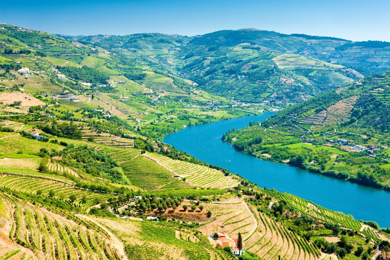 hügelige Landschaft, Weinfelder und Fluss Douro © Richard Semik /  stock.adobe.com
