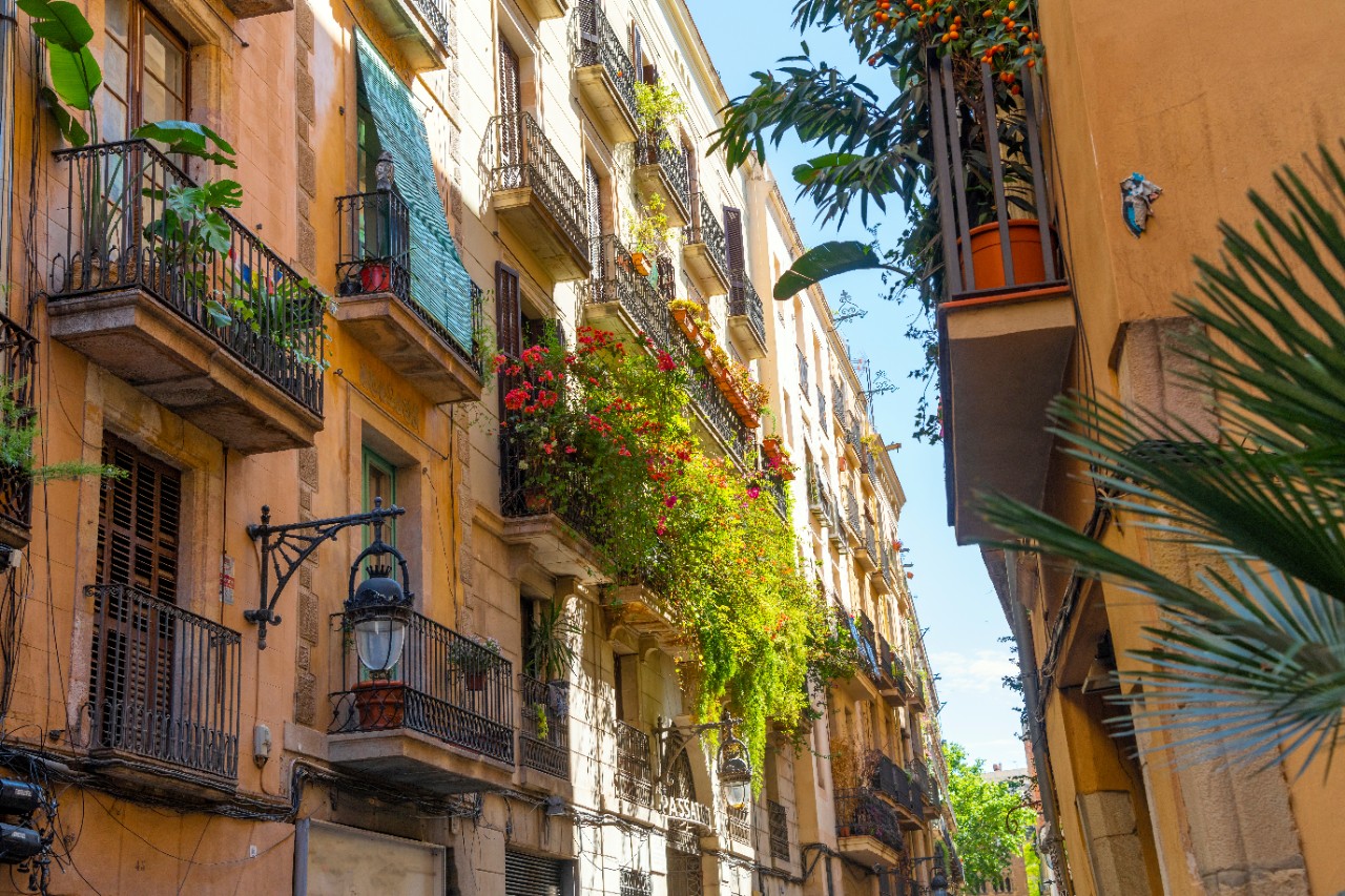 El Born, Barcelona 