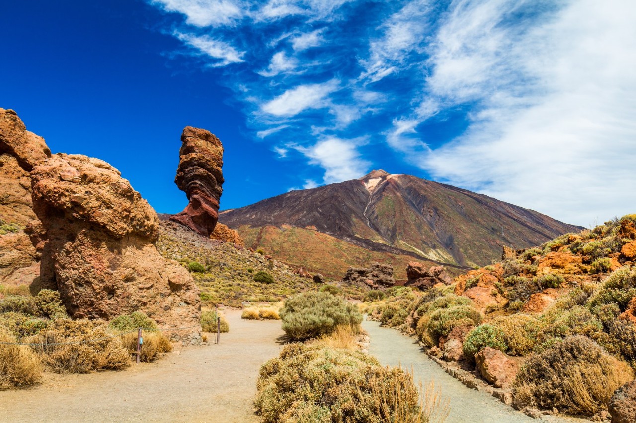 Nationalpark Teide mit kanarischer Vegetation und dem Berg Pico del Teide im Hintergrund 