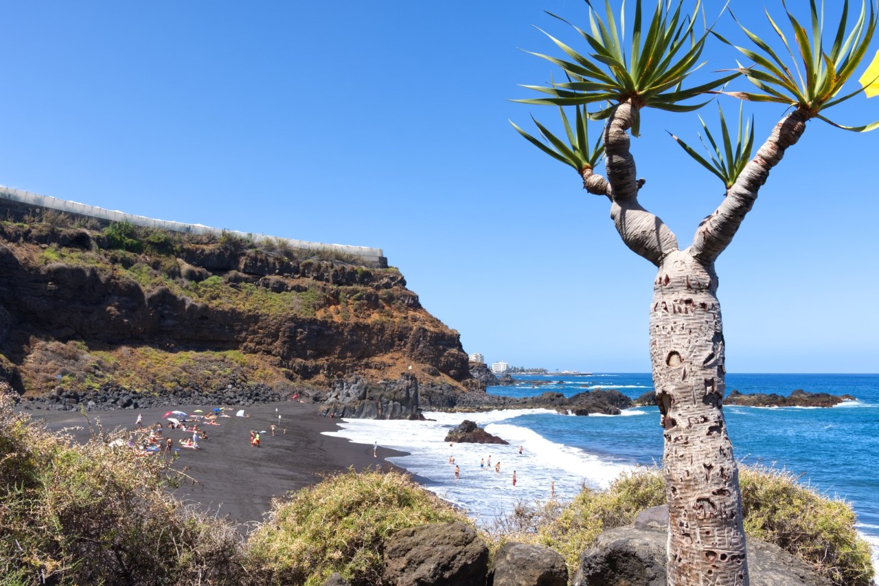 Schwarzer Vulkanstrand El Bollullo, mit einer für die Kanaren typischen kargen Vegetation 