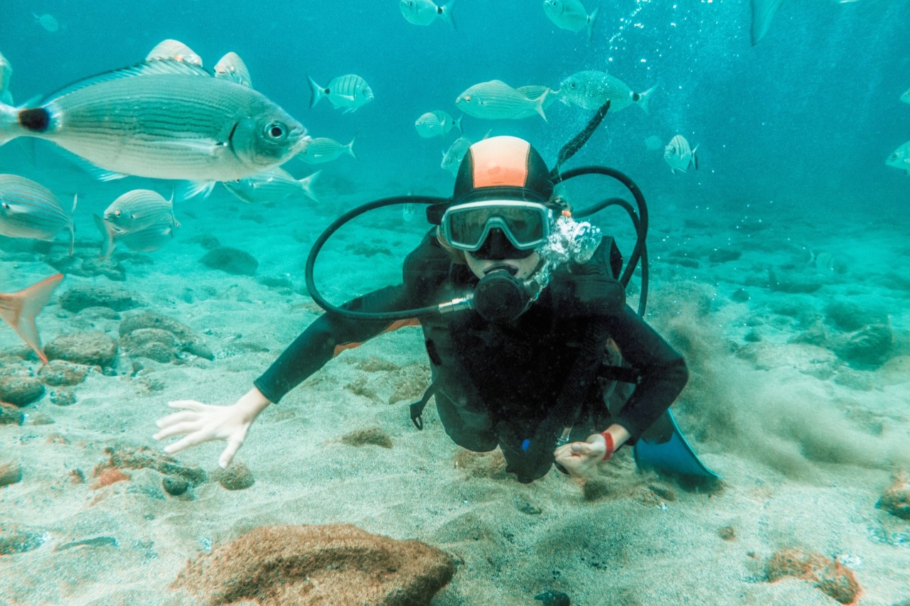Tauchende Person am Meeresboden im glasklaren Atlantik mit Fischen 