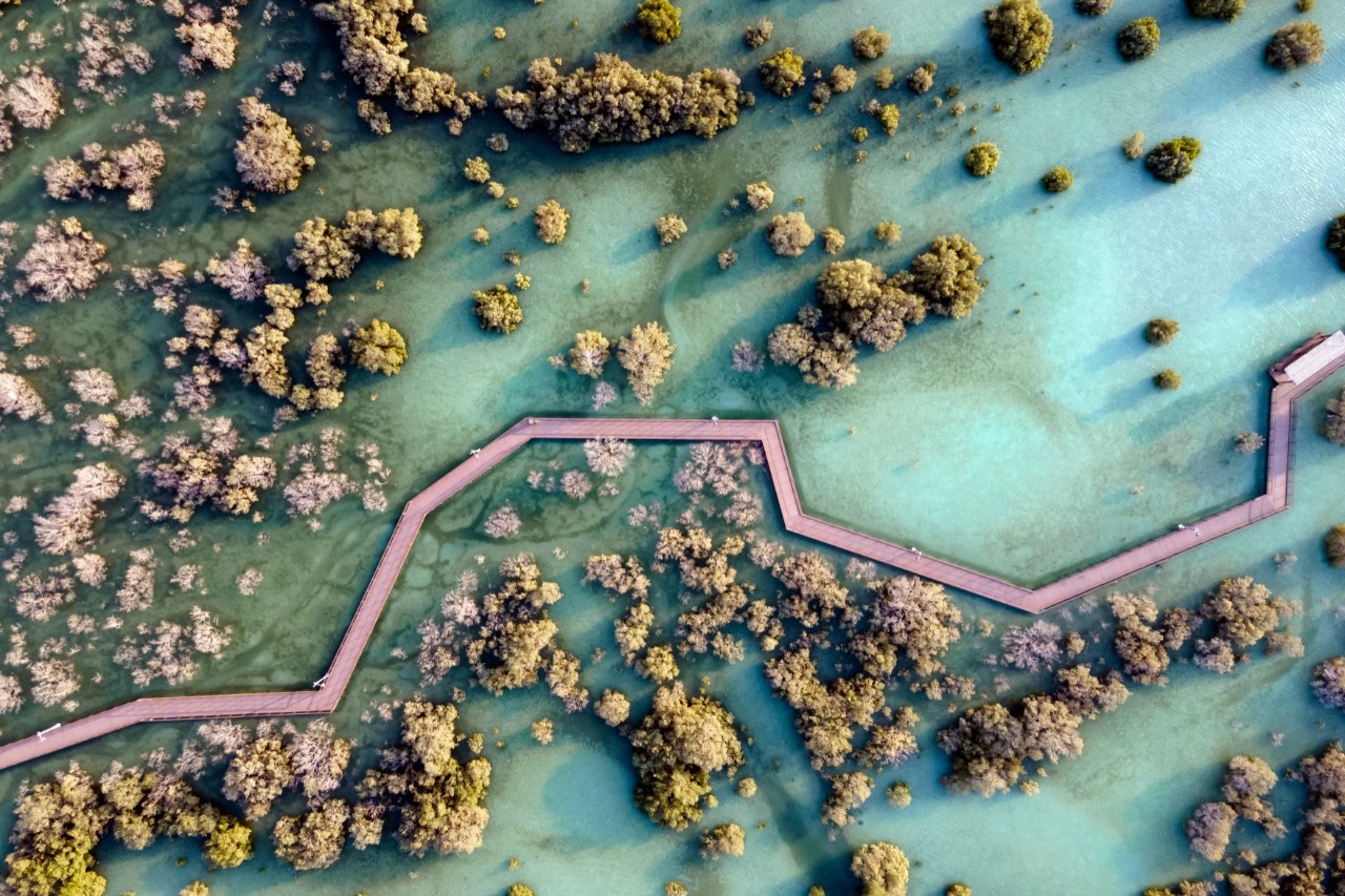 Luftaufnahme einer türkisfarbenen Wasserlandschaft mit Mangrovenwäldern und einem roséfarbenen Steg, der sich über das Wasser erstreckt.
