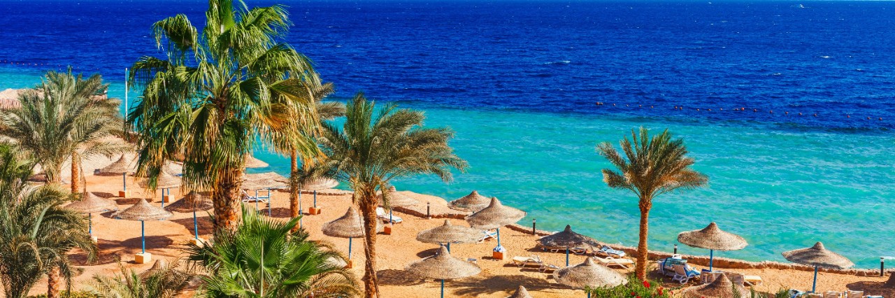 Strand in Hurghada mit Palmen, Sonnenliegen und Strohschirmen, Meer im Hintergrund © oleg_p_100/stock.adobe.com