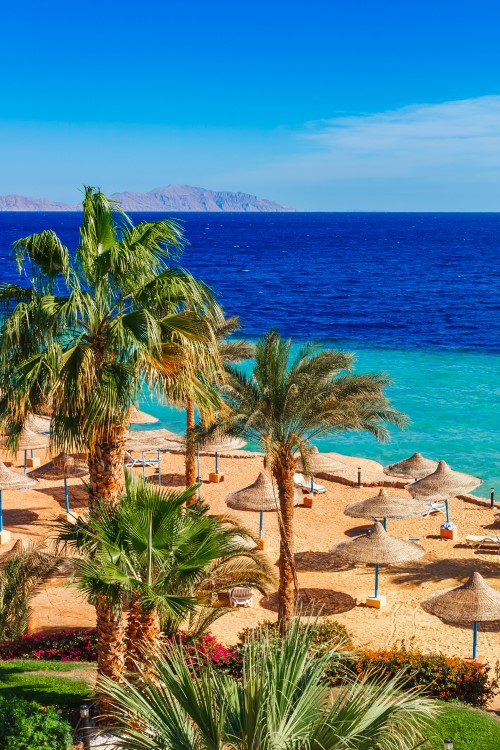 Strand in Hurghada mit Palmen, Sonnenliegen und Strohschirmen, Meer und Berge im Hintergrund © oleg_p_100/stock.adobe.com
