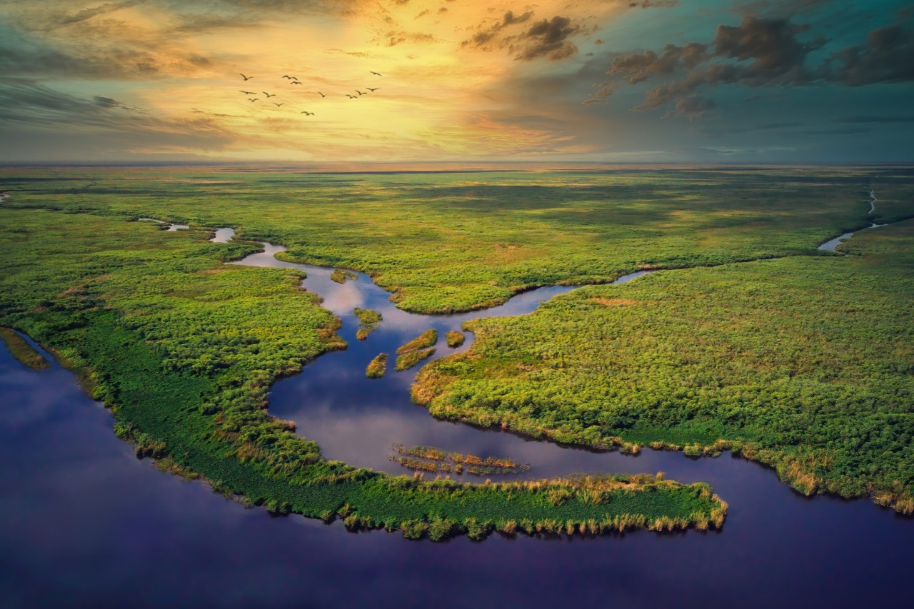 Ausflug in den Everglades Nationalpark: Den „Grasfluss“ kann man per Sumpfboot entdecken und Ausschau nach Alligatoren und Schildkröten halten. © ocudrone/stock.adobe.com