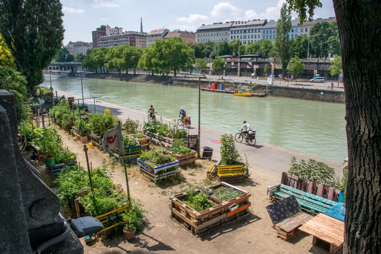 Urbaner Gemeinschaftsgarten am Donaukanal mit Radweg.