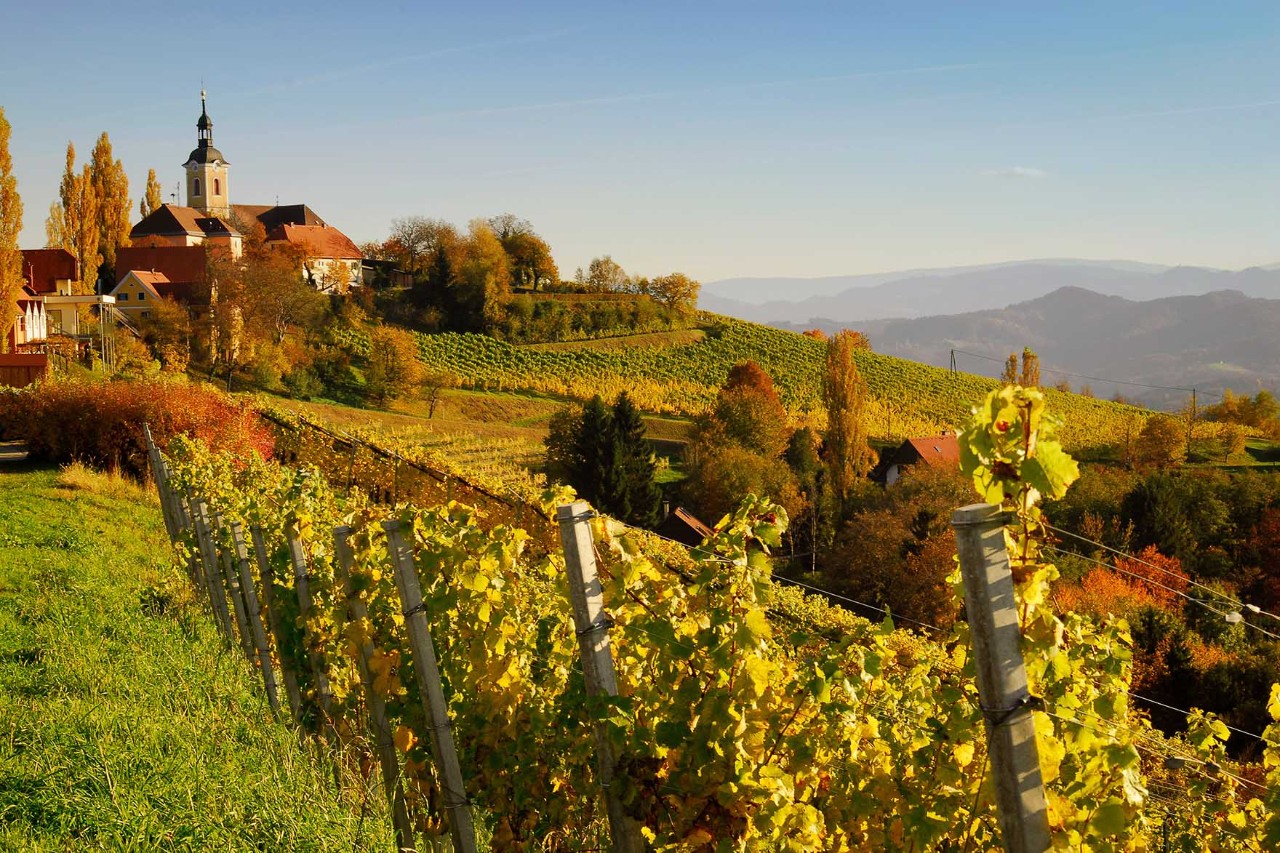 Südsteirische Weinstraße mit Weinreben, Hügeln und Häusern in der Sonne.