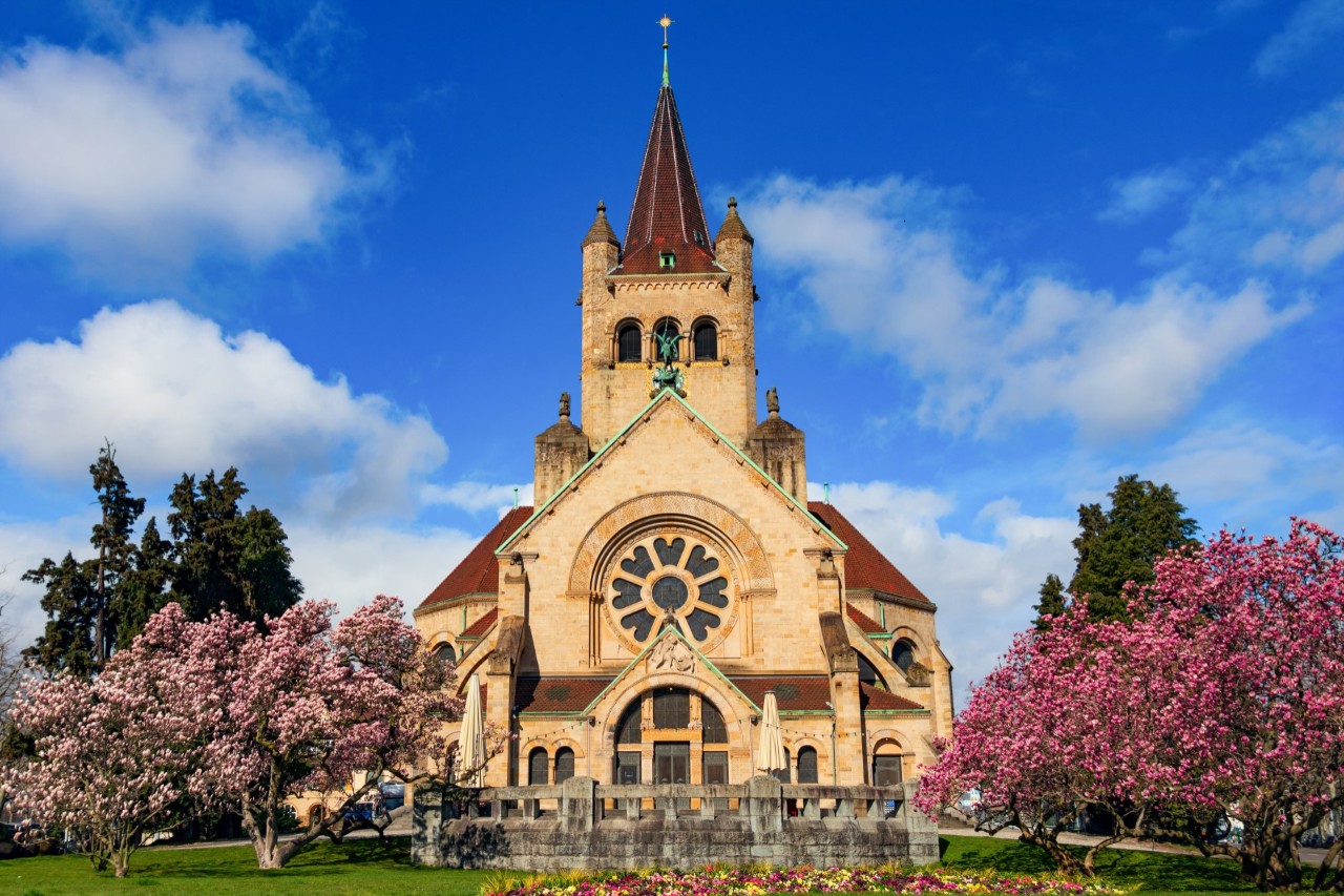 Sandsteinfarbene Kirche auf einer Erhebung umgeben von rosa blühenden Bäumen und einer kleinen Mauer 