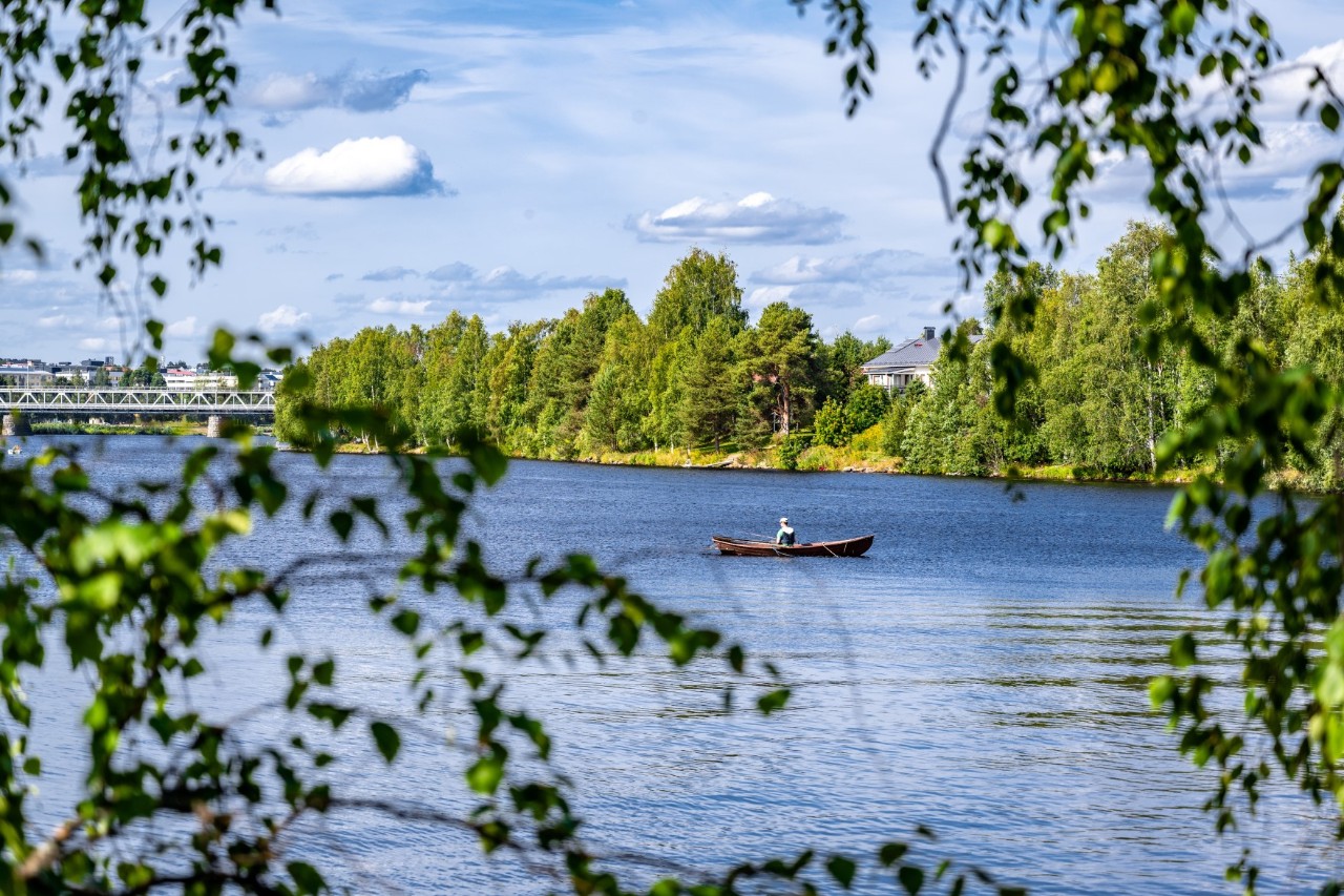 Ruderboot auf ruhigem Fluss, umrahmt von grünen Zweigen.