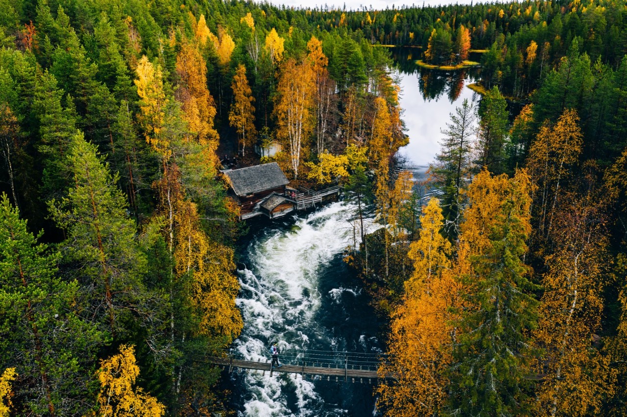 Luftbild von Herbstwald mit Fluss und Mühle im Wasserlauf.