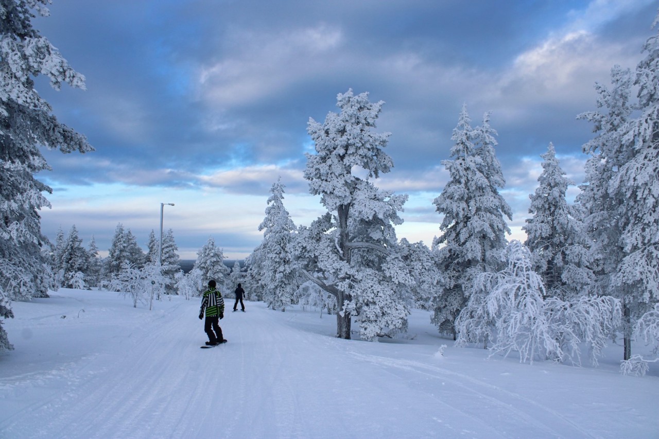 Zwei Snowboardende fahren durch eine verschneite Winterlandschaft mit schneebedeckten Bäumen unter einem bewölkten Himmel.