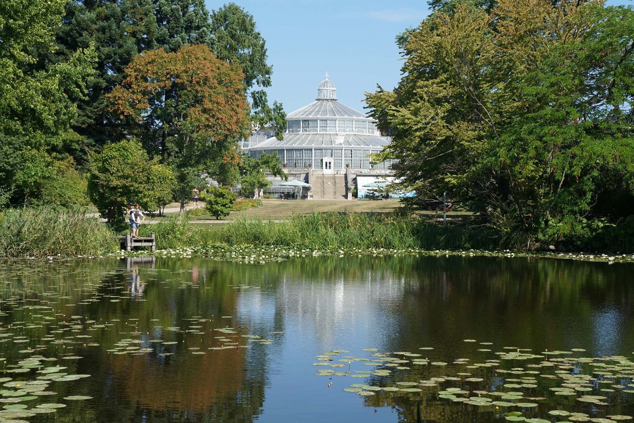 Teich im Botanischen Garten Kopenhagen mit Gewächshäusern im Hintergrund.