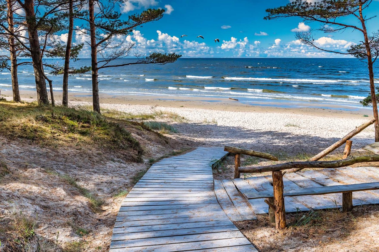 Sandstrand in Jurmala mit Pinien und ruhiger Ostsee unter blauem Himmel.
