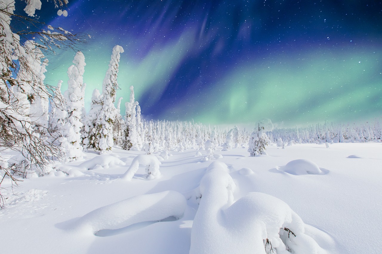 Schneebedeckte Winterlandschaft mit verschneiten Bäumen unter grün leuchtenden Polarlichtern am dunkelblauen Nachthimmel.