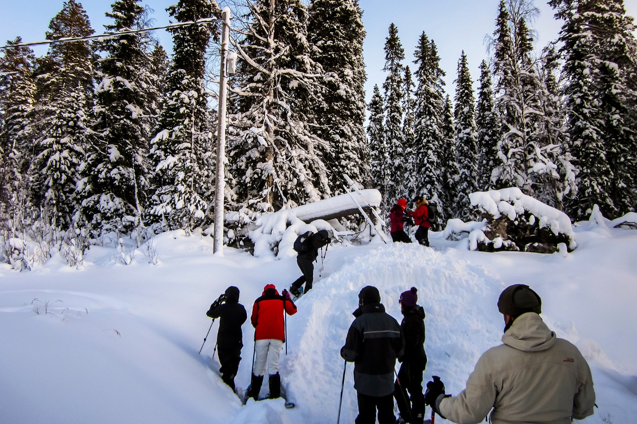 Mehrere Personen wandern mit Stöcken durch tiefen Schnee in einem verschneiten Nadelwald und steigen einen kleinen Schneehang hinauf.