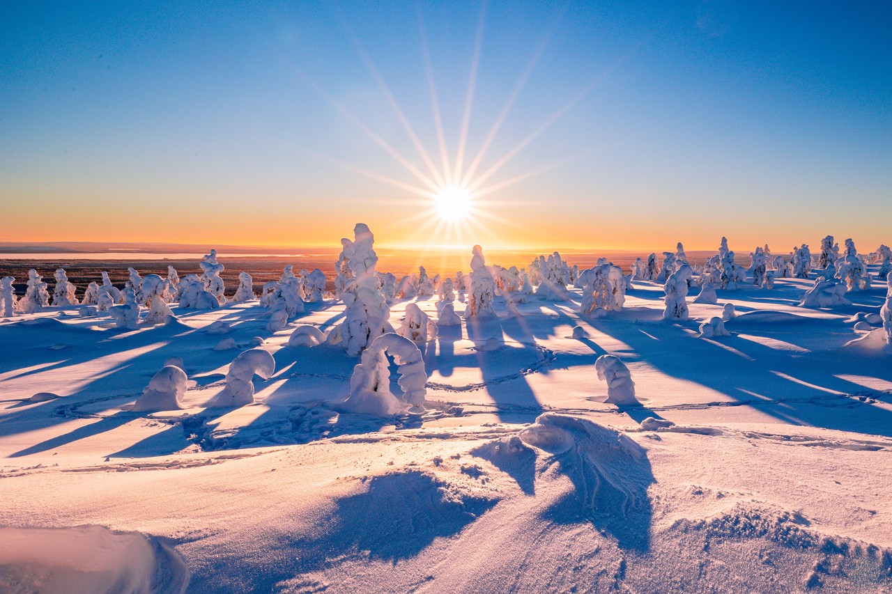 Winterlandschaft mit verschneiten Bäumen im warmen Licht eines tief stehenden Sonnenaufgangs und lange Schatten auf glitzerndem Schnee.