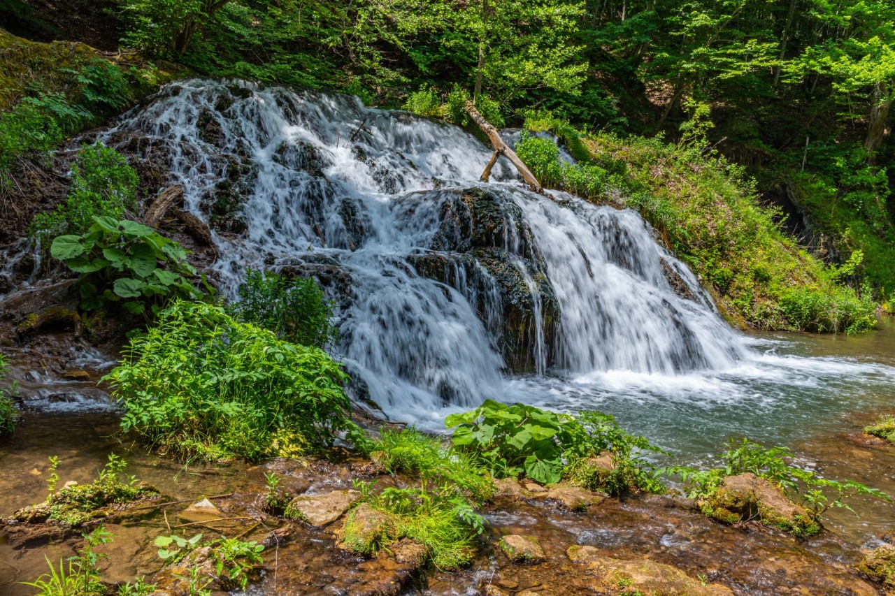 Kleiner, natürlicher Wasserfall inmitten einer grünen, bewaldeten Landschaft. Das Wasser fließt über mehrere Felsstufen und wird von üppiger Vegetation umgeben, die das Bild lebendig und frisch wirken lässt.