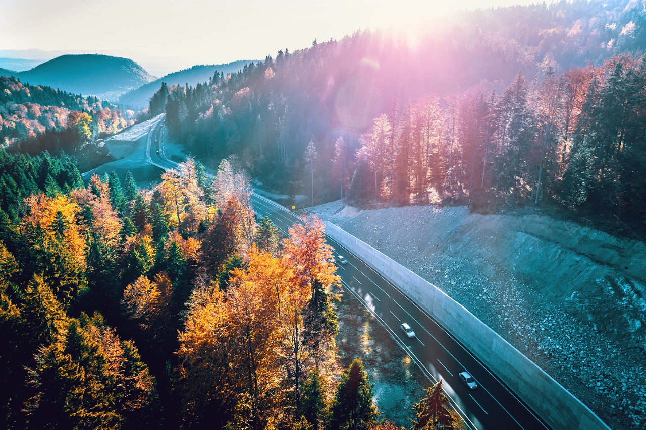 Luftaufnahme einer Straße durch einen herbstlichen Wald in den Bergen, mit wenigen fahrenden Autos und warmem Sonnenlicht.