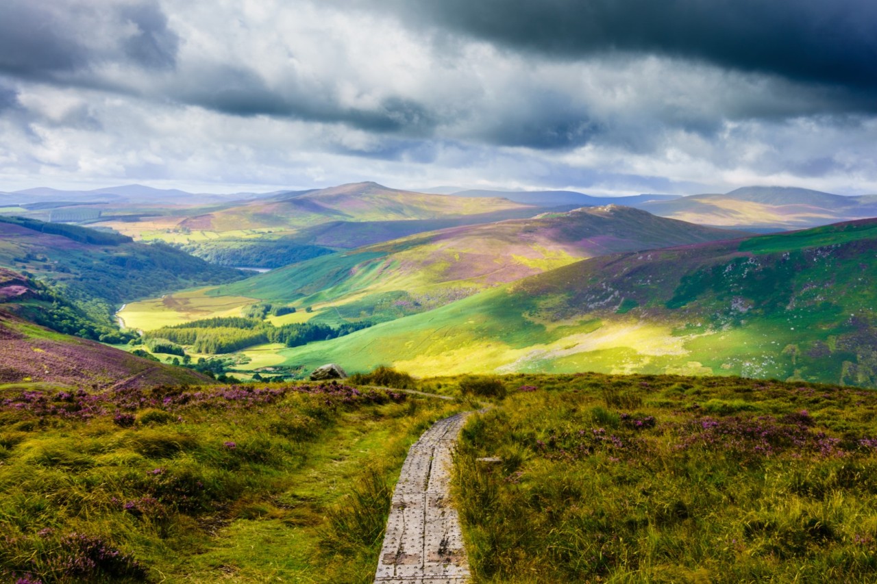 Hügelige Landschaft der Wicklow Mountains mit Holzsteg.
