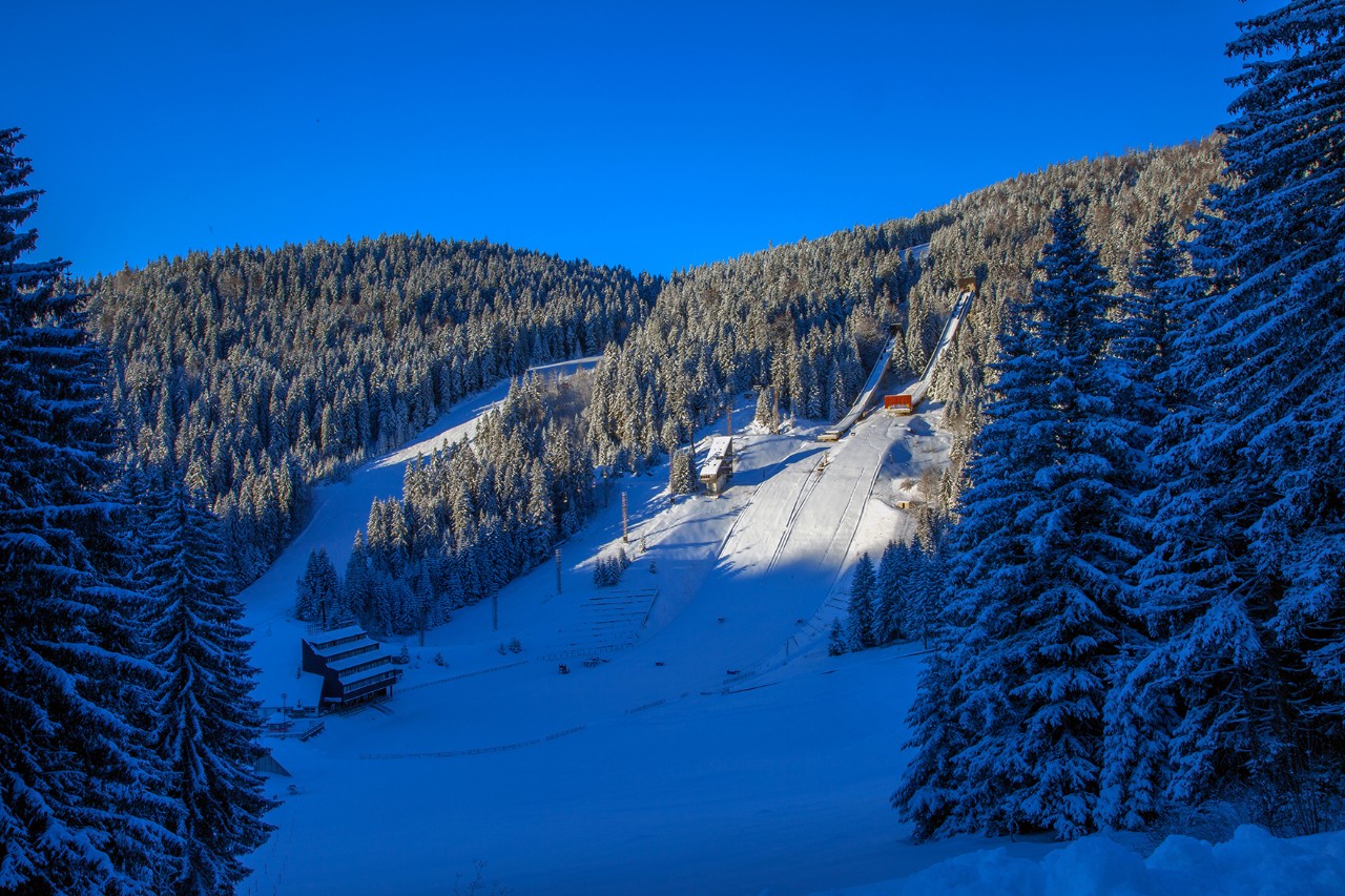 Verschneite Berglandschaft mit Skipisten, Liften und bewaldeten Hängen unter klarem, blauem Himmel. Zwischen den Bäumen liegen Berghütten und Wintersportanlagen.