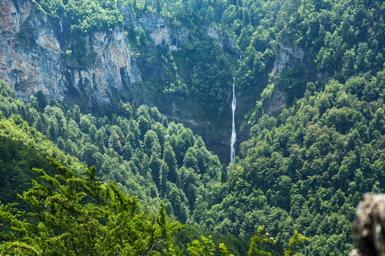 Hoher, schmaler Wasserfall, der von einer steilen Felswand in ein bewaldetes Tal stürzt. Umgeben ist er von dichtem, grünem Laubwald und felsigen Berghängen.