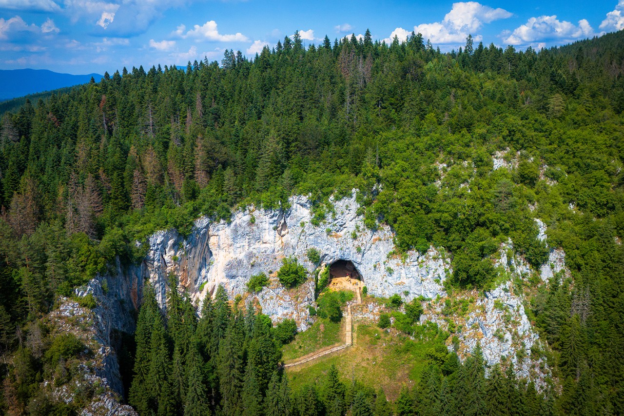 Luftaufnahme eines bewaldeten Berghangs mit dichtem Baumbestand. In der Felswand ist der dunkle Eingang einer Höhle zu erkennen, eingebettet in die grüne Landschaft.
