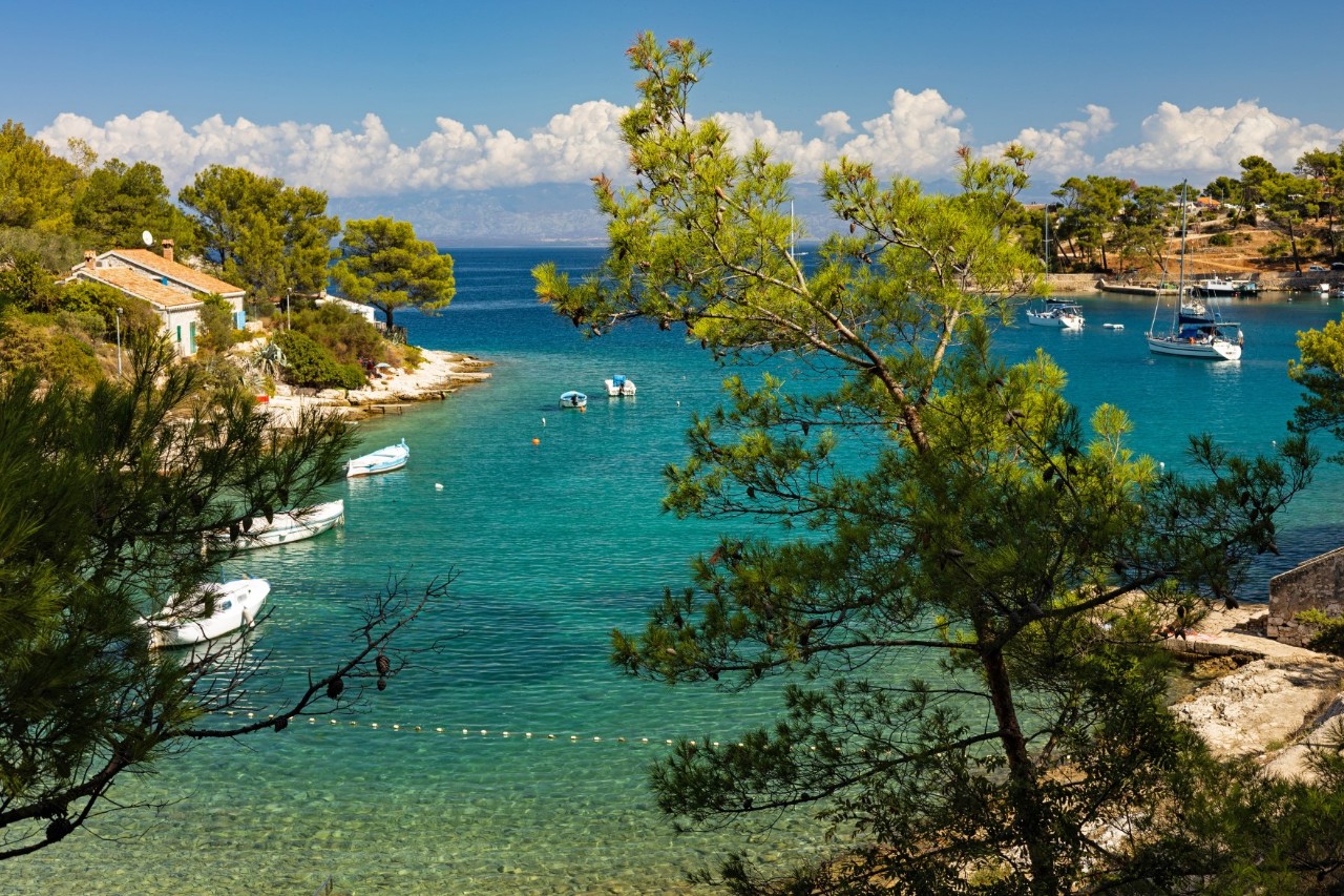 Bucht vor der Insel Lošinj mit türkisfarbenem Wasser und bewaldeter Küste.