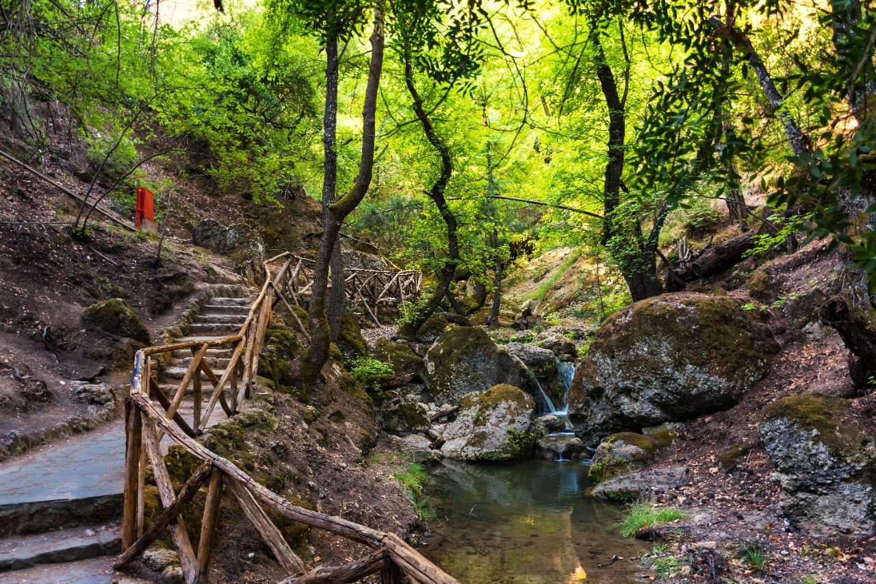 Schattiger Waldweg mit Holzgeländer im Tal der Schmetterlinge auf Rhodos.