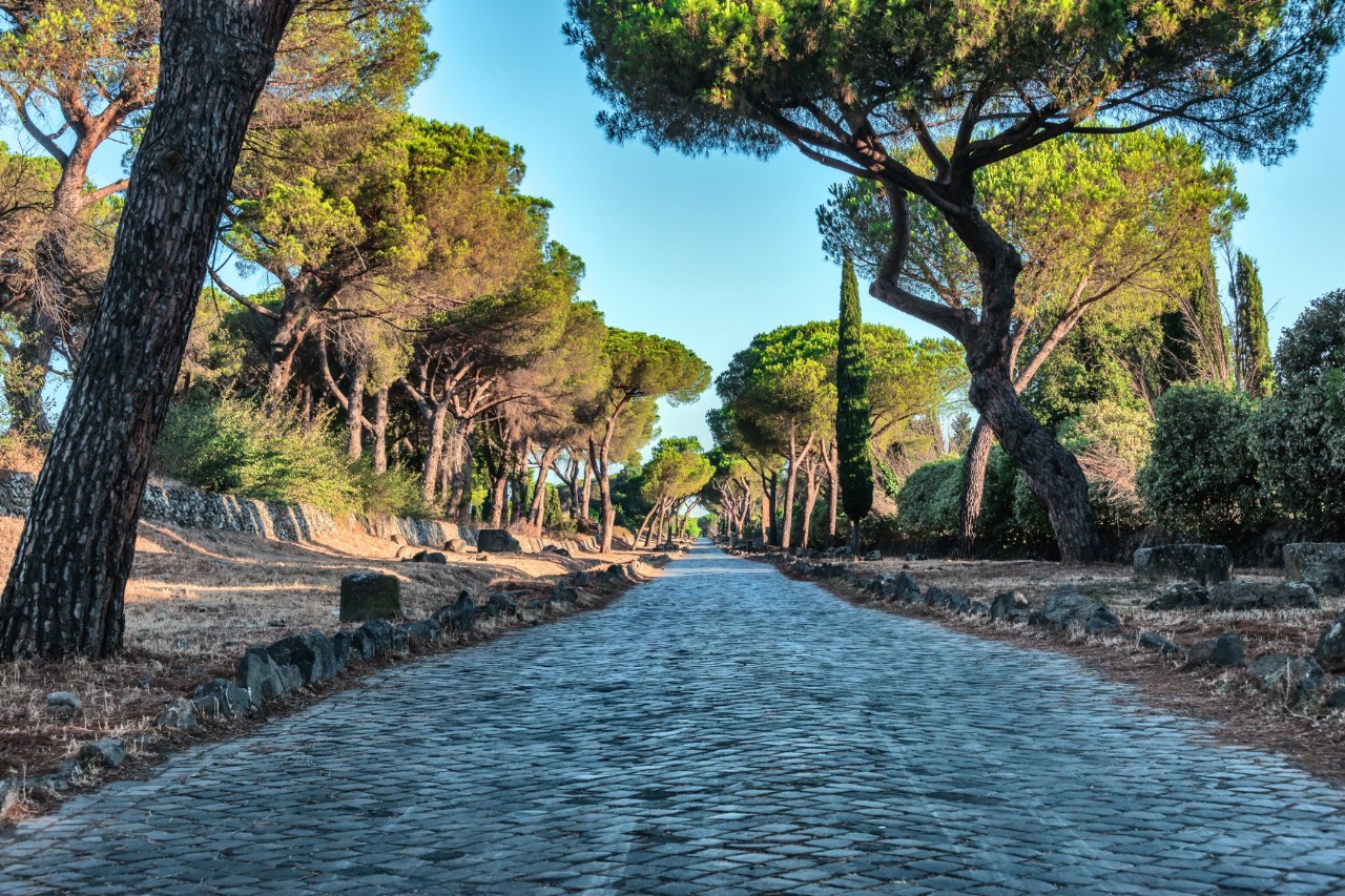 Historische gepflasterte Via Appia gesäumt von Pinienbäumen.